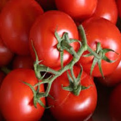 TOMATES GRAPPES 1 kg