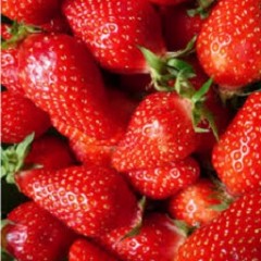 FRAISES GARIGUETTE ( 250 grs ) 