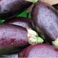 AUBERGINES