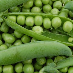 PETITS POIS ( 500 GRS)