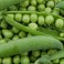 PETITS POIS ( 500 GRS)