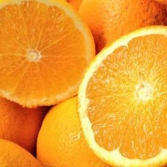 ORANGE DE TABLE (1KG)