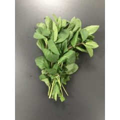BOUQUET DE MENTHE 