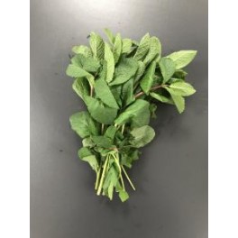 BOUQUET DE MENTHE 