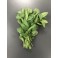 BOUQUET DE MENTHE 