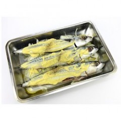 MAGUEREAUX CÔTIERS 1KG 
