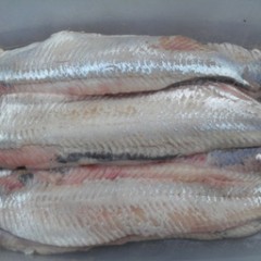 FILETS DE HARENG FUMÉS A L'HUILE 
