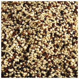 QUINOA TRICOLORE BIO