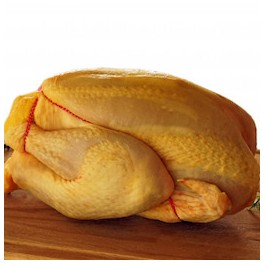 POULET JAUNE 1,6 à 1,8 kg