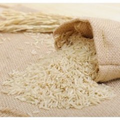 RIZ CAMARGUE BLANC BIO