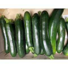 COURGETTES 