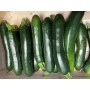 COURGETTES 