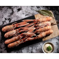 LANGOUSTINES FRAÎCHES CUITES 