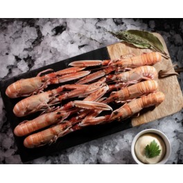 LANGOUSTINES FRAÎCHES CUITES 