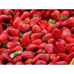 FRAISES CLERY (500 GRS)