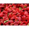 FRAISES CLERY (500 GRS)