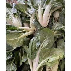 BETTE / BLETTE (500g)