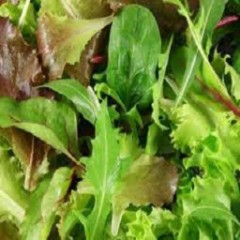 MESCLUN