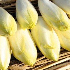 ENDIVES (1kg)